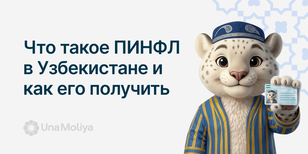 Что такое ПИНФЛ