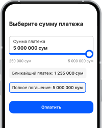 Выберите вариант погашения вашего микрозайма